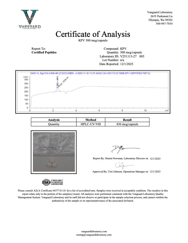 V251113 27 COA